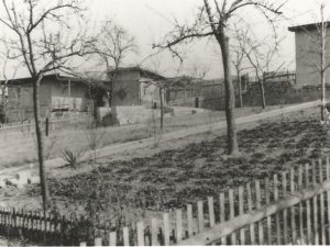 Anlage Steinertsberg
