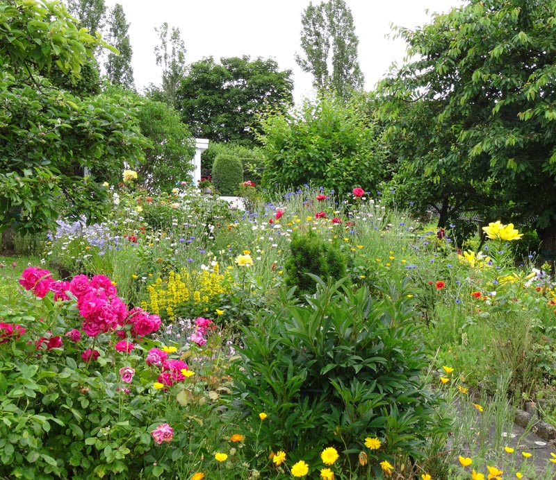 Blühender Garten am Steinertsberg Gera