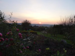 Garten Impressionen Steinertsberg Gera
