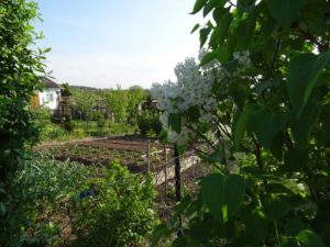 Garten Impressionen Steinertsberg Gera