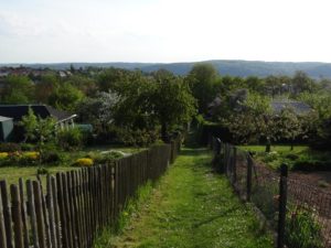 Garten Impressionen Steinertsberg Gera
