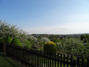 Garten Impressionen Steinertsberg Gera
