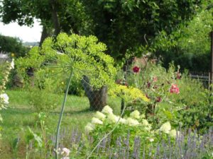 Garten Impressionen Steinertsberg Gera