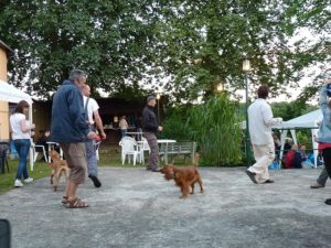 Steinertsberg Sommerfest 2012